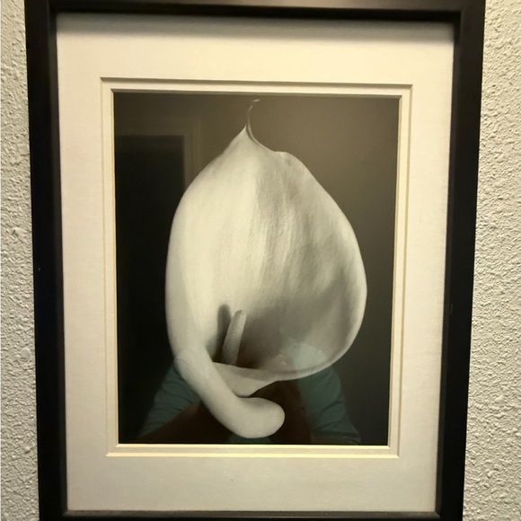 Elegant Black and White Floral Art Print - Picture 2 of 5